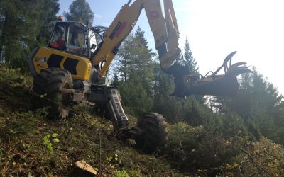 Schreitbagger-Arbeiten in Landschafts- und Forstpflege