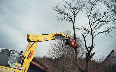 Schreitbagger-Arbeiten in Landschafts- und Forstpflege