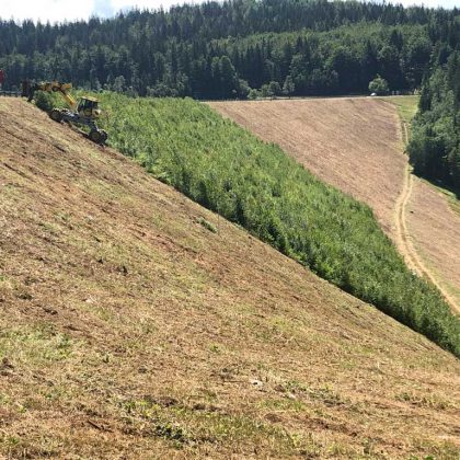 Landschaftspflege in 36433 Bad Salzungen 