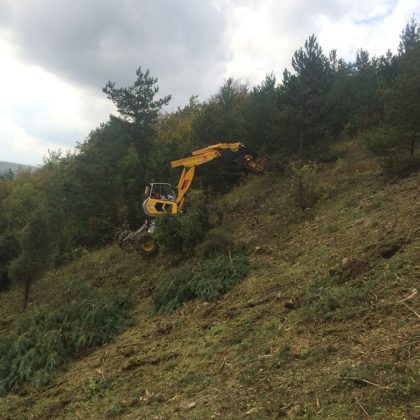 Schreitbagger im Einsatz