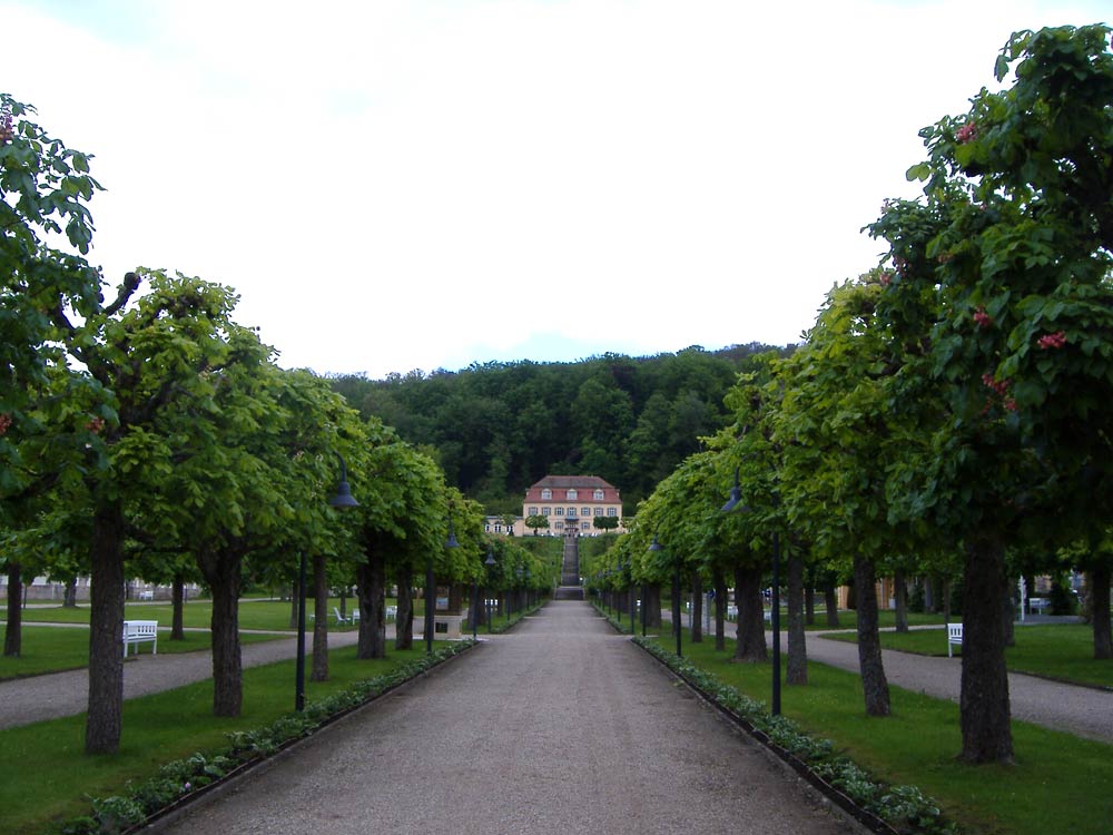 Schreitbaggerarbeiten in 97769 Bad Brückenau