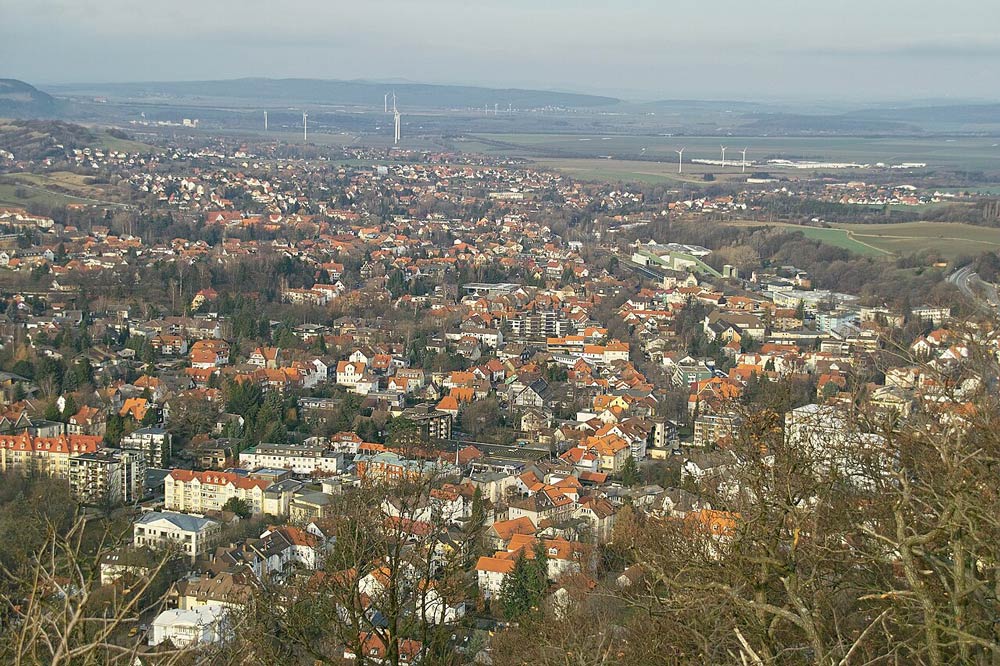 Schreitbaggerarbeiten in 38667 Bad Harzburg
