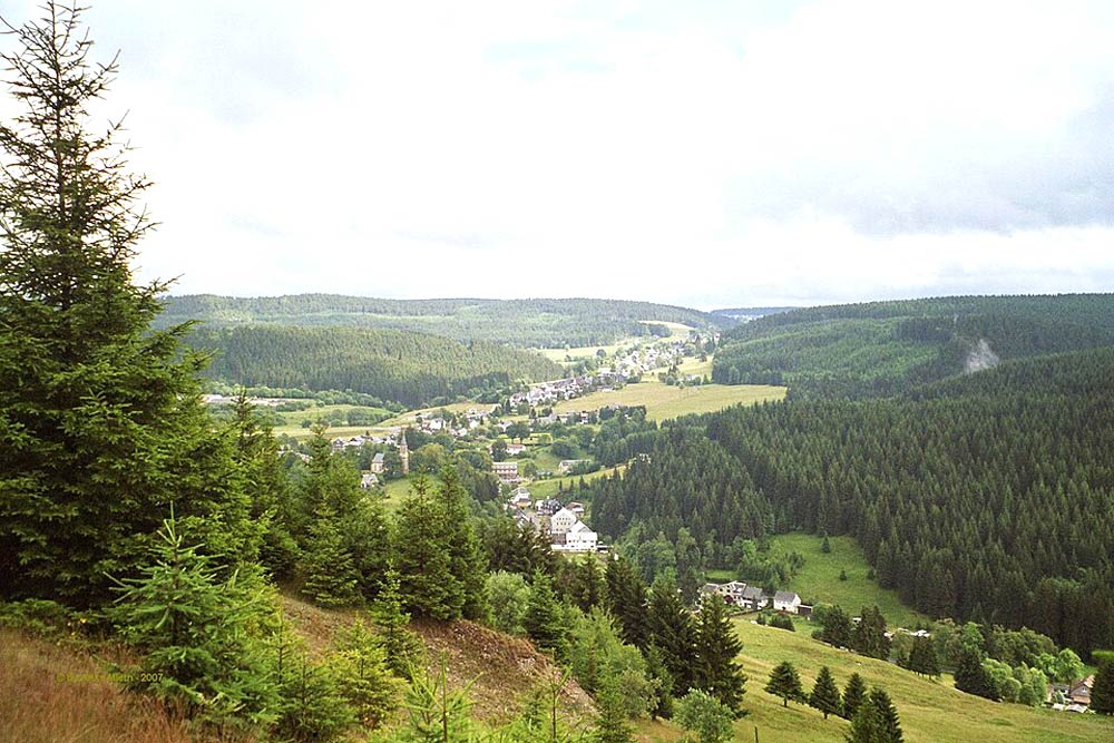 Schreitbaggerarbeiten in 98724 Scheibe-Alsbach