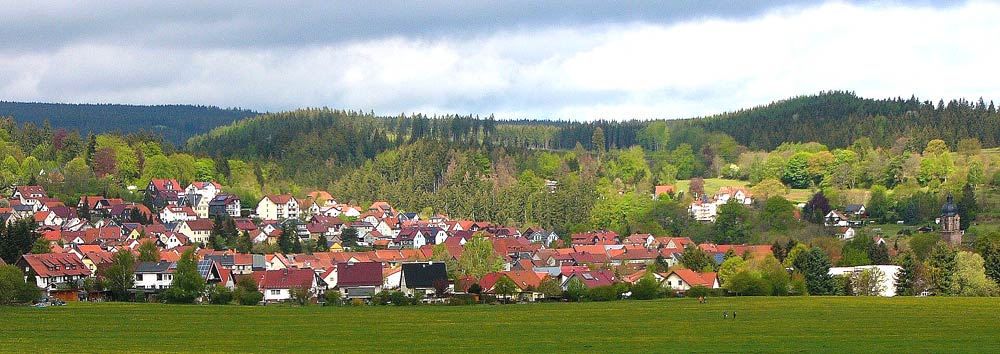 Schreitbaggerarbeiten in 99897 Tambach-Dietharz