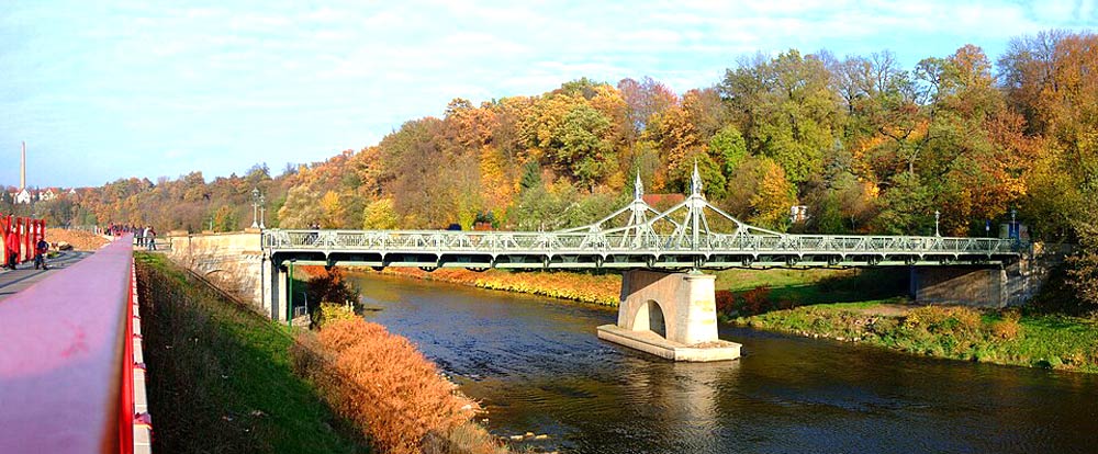 Schreitbaggerarbeiten in 08056 Zwickau