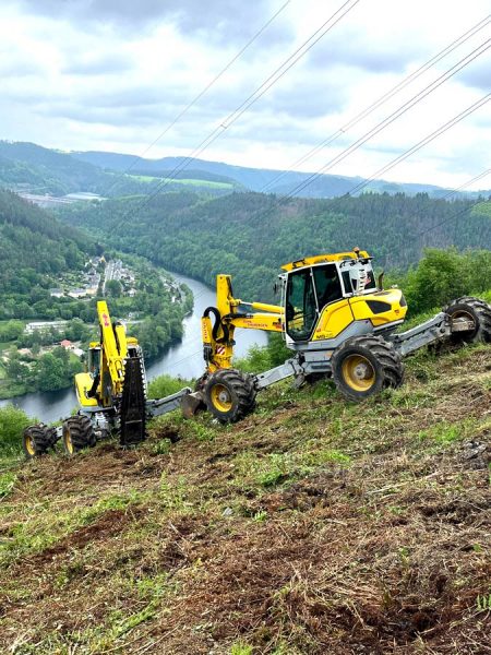 Rodungsarbeiten Freileitungen