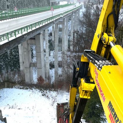 Forstpflege mit Schreitbagger