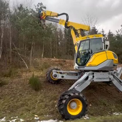 Forstpflege mit Schreitbagger