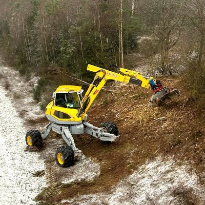 Forstpflege mit Schreitbagger